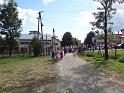 Zielna 2013_12